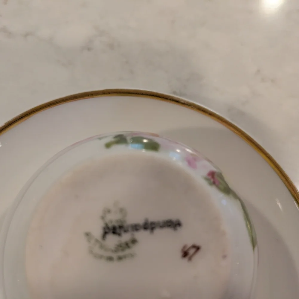 Vintage  1929 - 1931s. C.T. Altwasser Germy Floral Teacup and Saucer Set